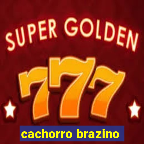 cachorro brazino